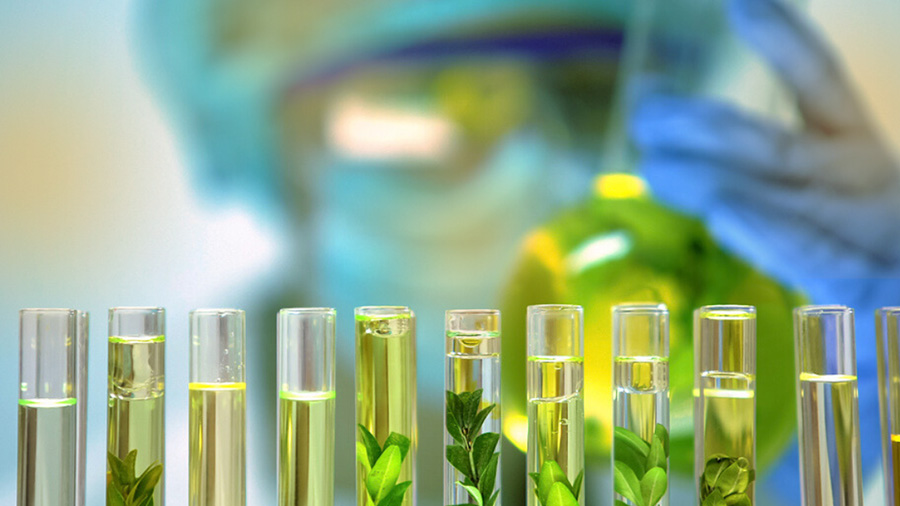 Sustainability and the Chemicals Industry: How Can We Seize the Opportunity?