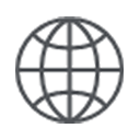 A simple black globe icon with horizontal and vertical lines crossing, representing the Earth or the concept of the internet, on a light gray background. EFESO Management Consultants
